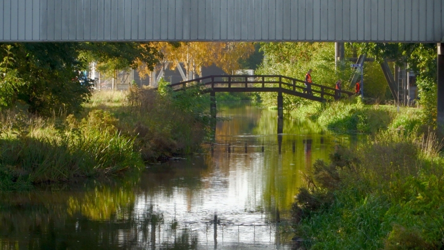 Biodiverse slootwatergang met brug op het bedrijventerrein van Heineken
