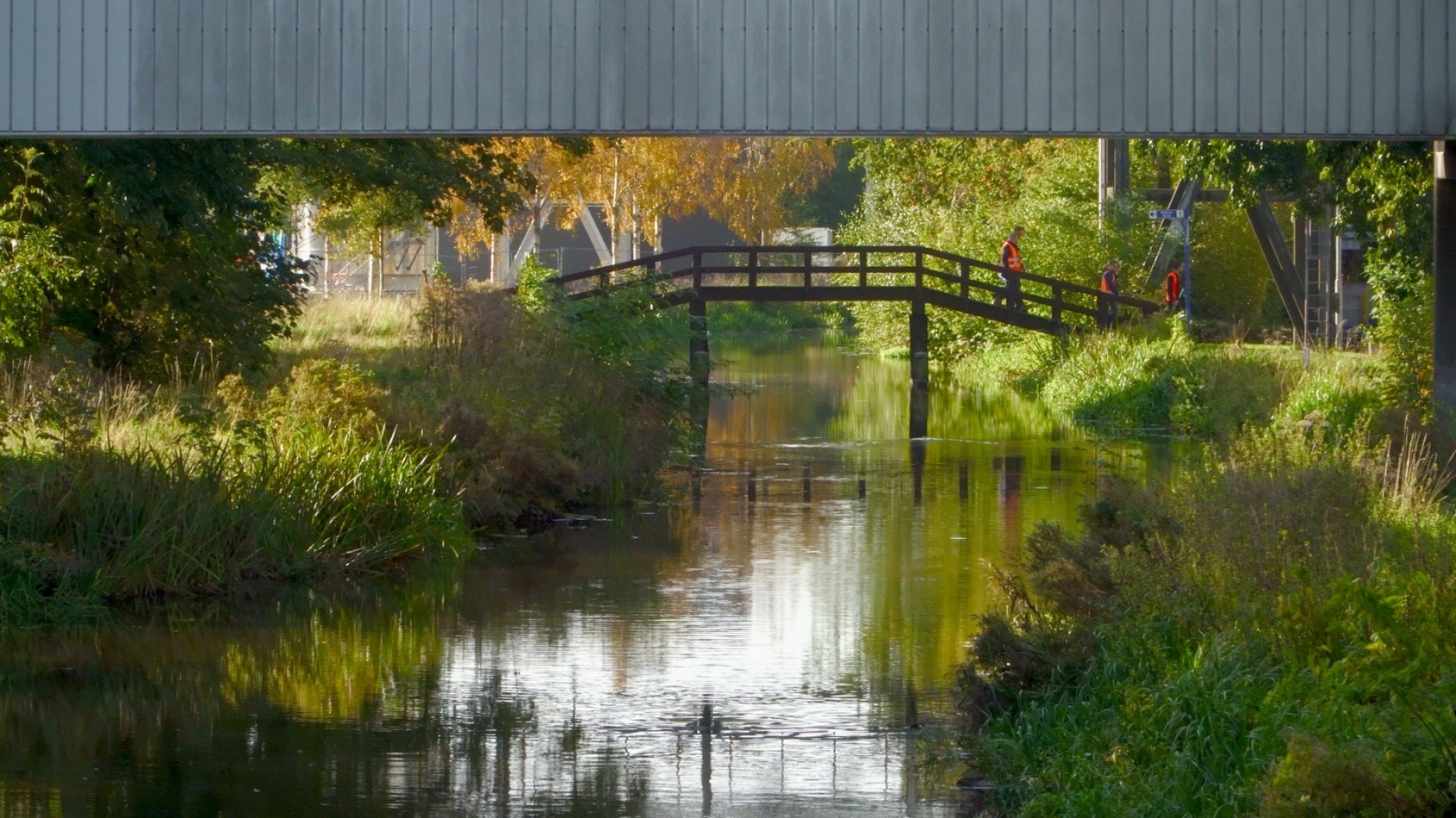 Biodiverse slootwatergang met brug op het bedrijventerrein van Heineken